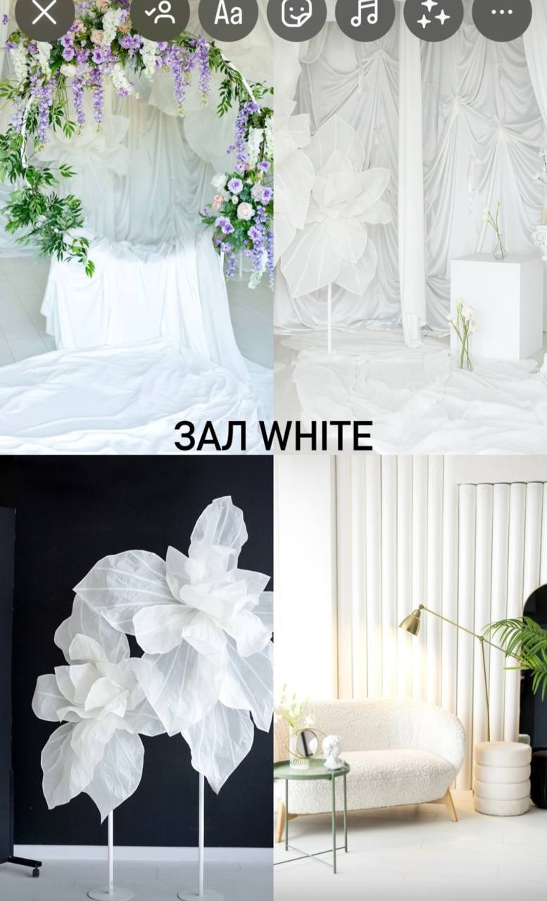 Фотостудия Avocado зал White