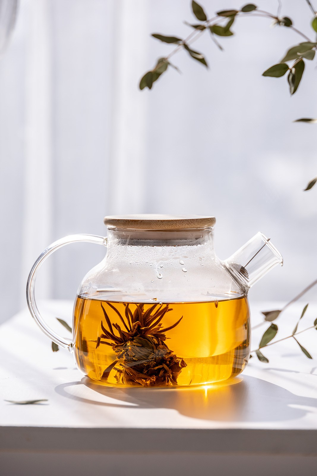 Стеклянный чайник с бамбуковой крышкой на белом столе | Фото для карточки Ozon