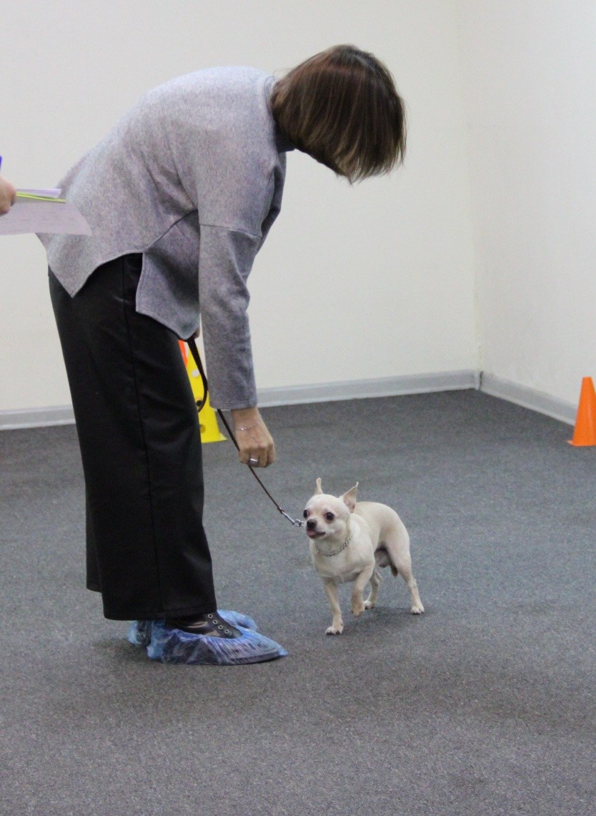 Репортаж УС «ДЦ Ральф». Катя Попова|ЛайфСтайл фотограф