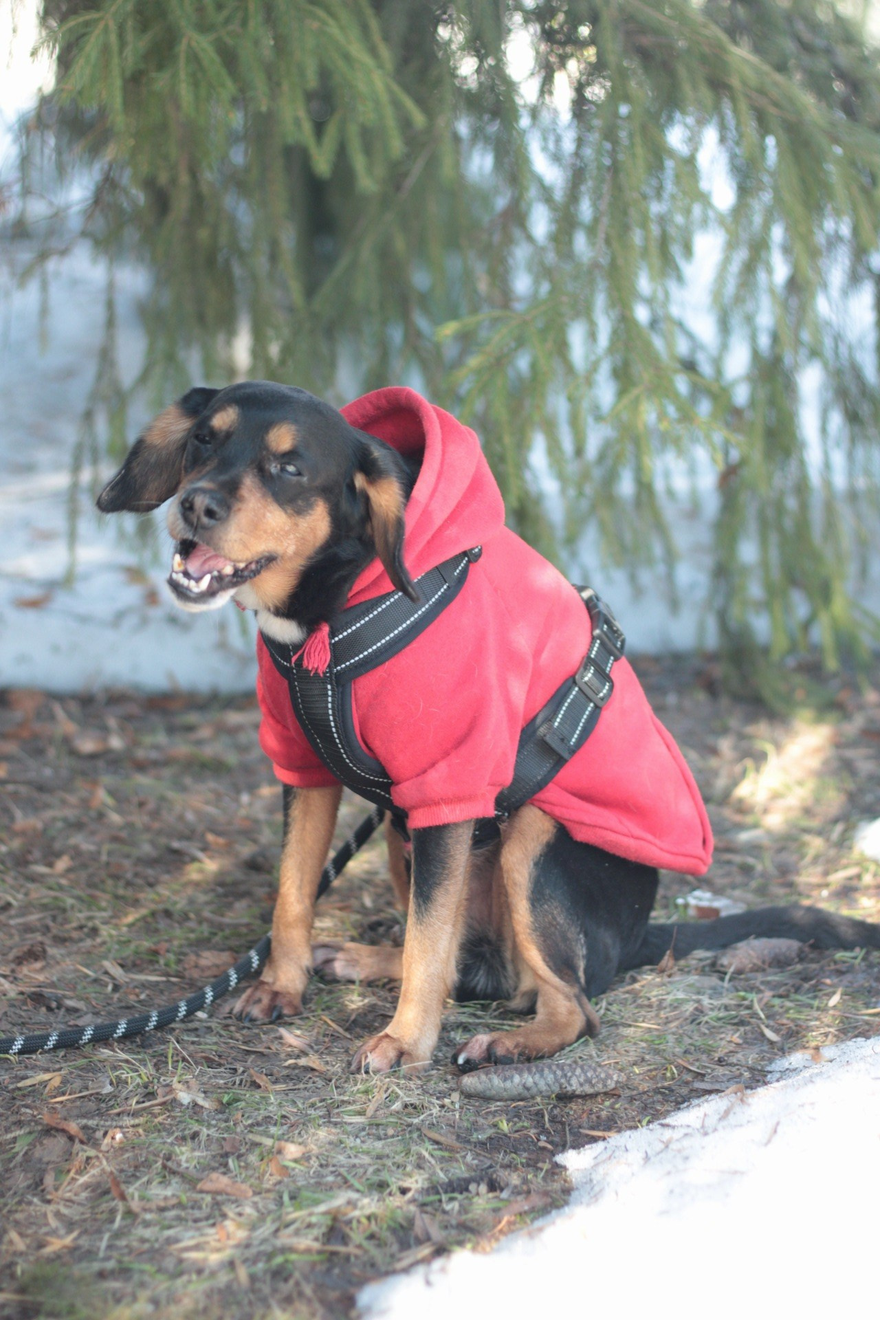 Маша и Кекс. Катя Попова|ЛайфСтайл фотограф