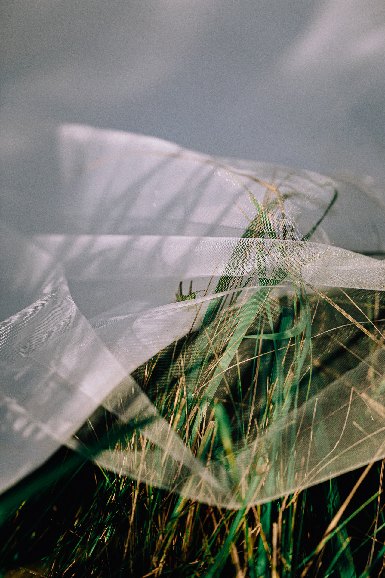 Артём & Екатерина. Фотограф Егор Сухов