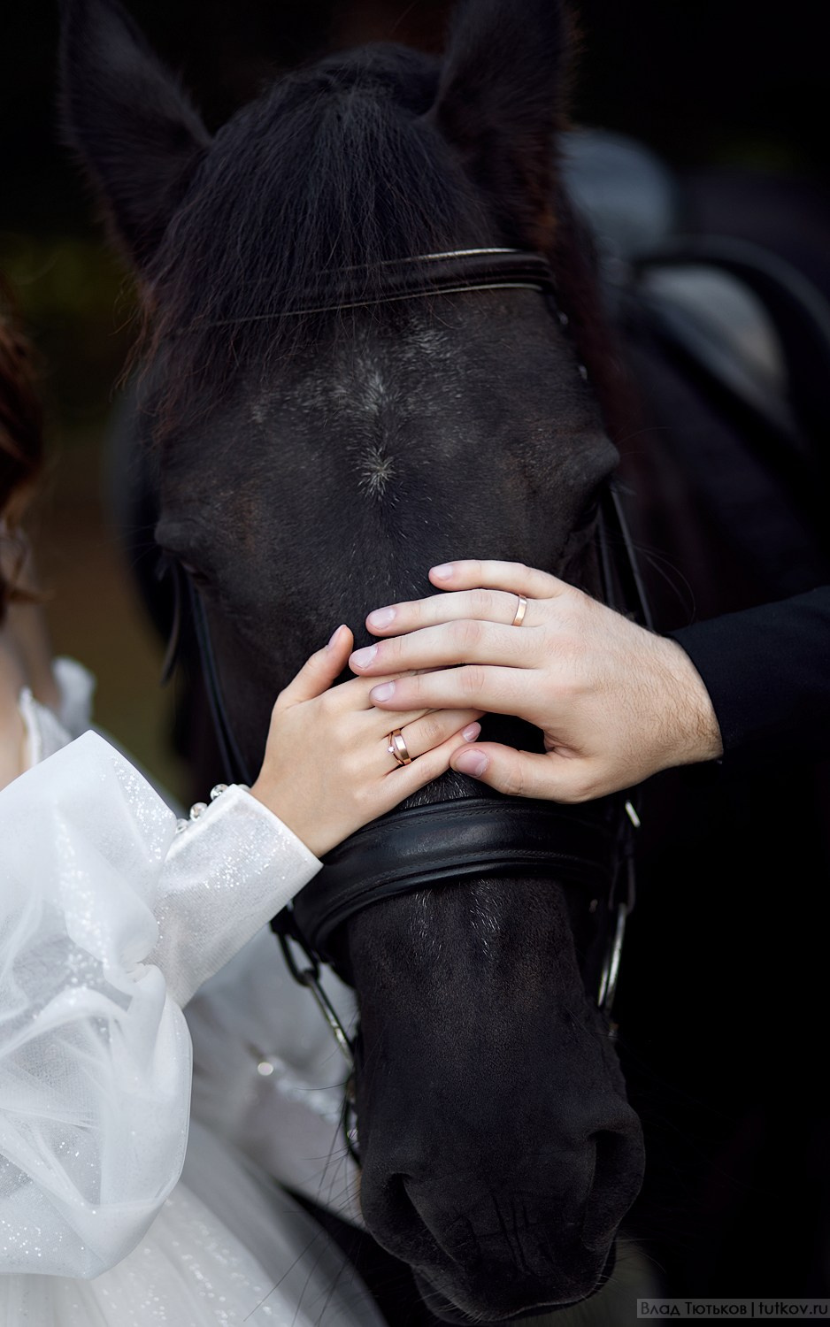 Екатерина и Сергей. Свадебная фотосъёмка в Брянске | Влад и Ирина Тютьковы