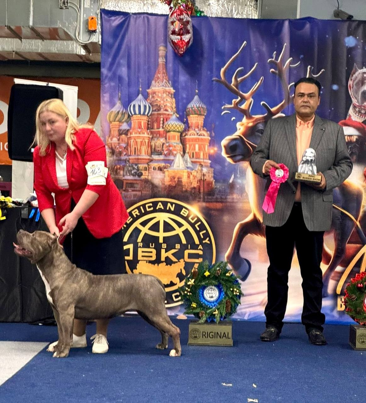 Участие в выставках. Американские булли XL в г. Калининград. Питомник Great Bully UNIVERSE