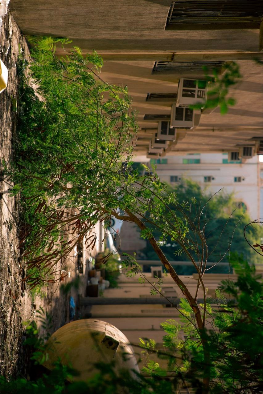 Эль-Джубайль. СА. 2025. Фотограф Михаил Олейник