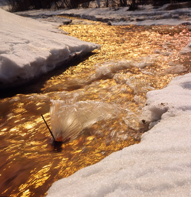 Весна. ВАДИМ ГИППЕНРЕЙТЕР — ВЕЛИКИЙ ФОТОГРАФ ЗЕМЛИ РУССКОЙ