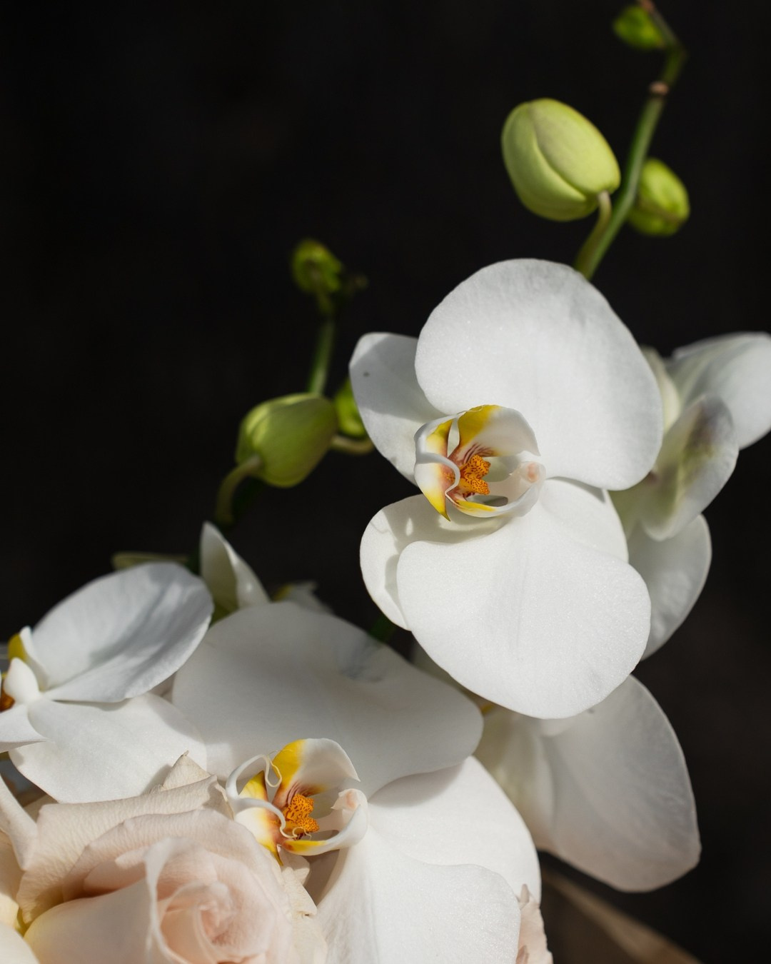 Main. Maria Anistratova | Destination Photographer, Videographer & Drone Pilot — Lake Como