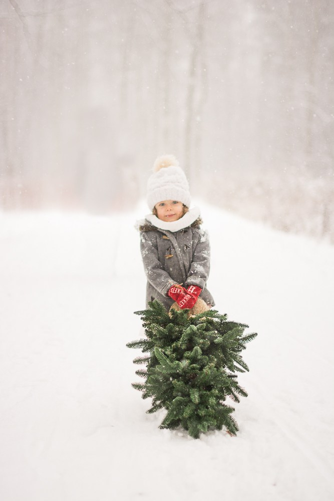 Зима в лесу. Фотосессия беременности — Крылова Натали — Москва