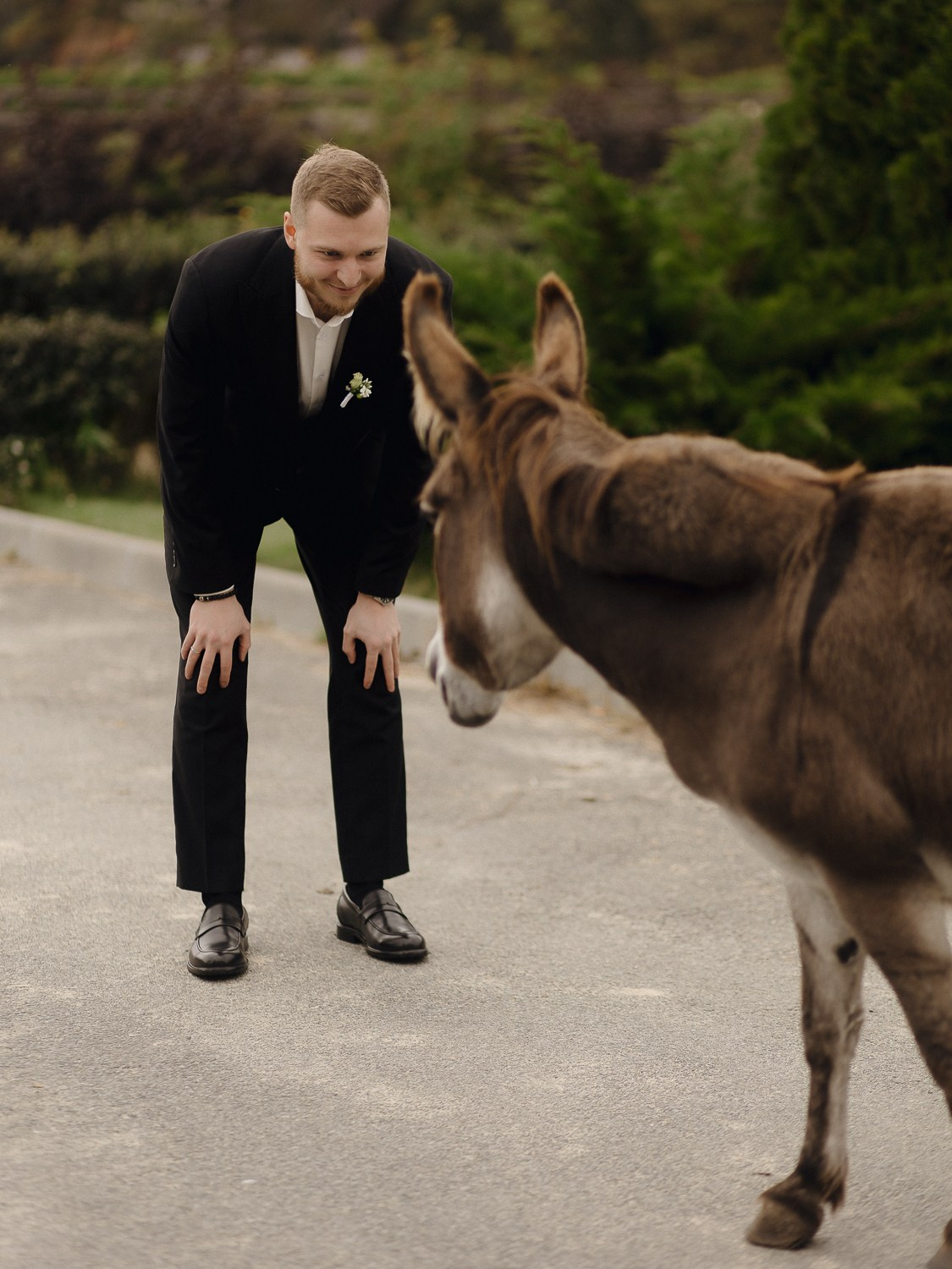 НИКА И ЕГОР, ПЕГАС. Свадебный и индивидуальный фотограф в Челябинске Евгения Негодяева