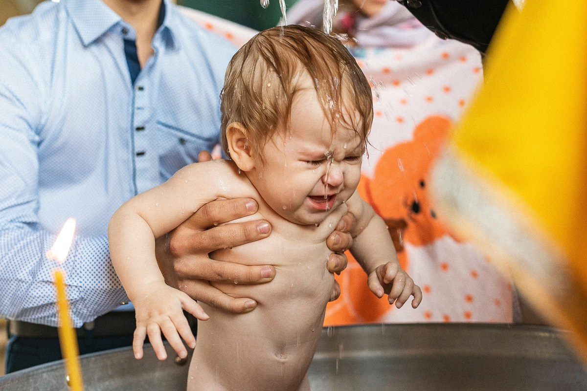 СЕМЬЯ. АЛЕКСАНДР ФОКС