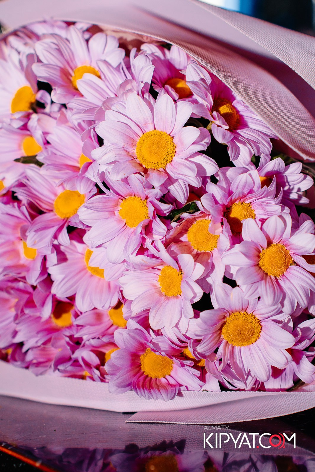 MYATA PLATINUM НА АБАЯ — SPECIAL QUEST АЙКЫН. КИПЯТКОМ АЛМАТЫ! Фотосъемка мероприятий в Алматы