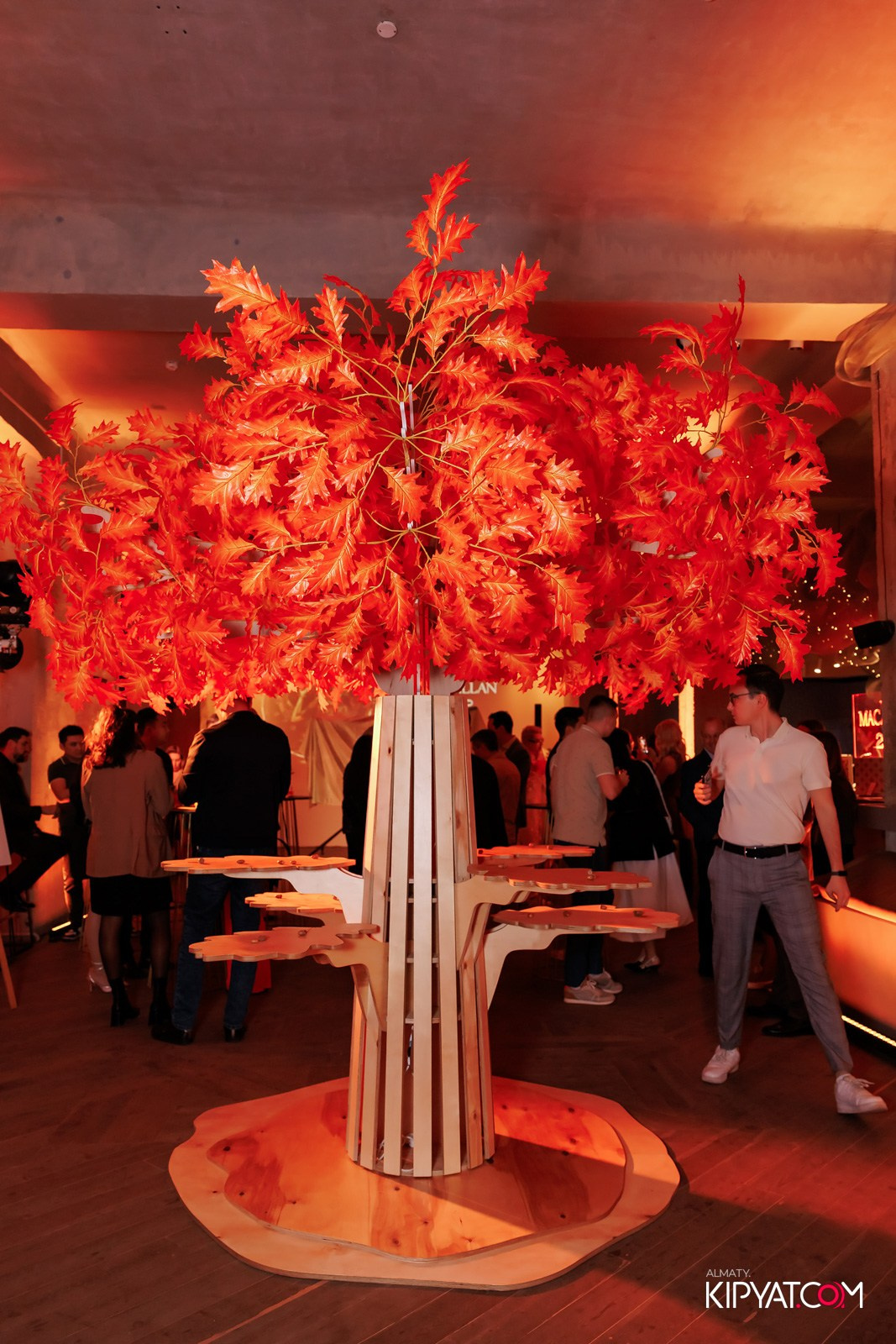 ВЕЧЕР ЛИМИТИРОВАННОГО РЕЛИЗА THE MACALLAN HARMONY COLLECTION. КИПЯТКОМ АЛМАТЫ!