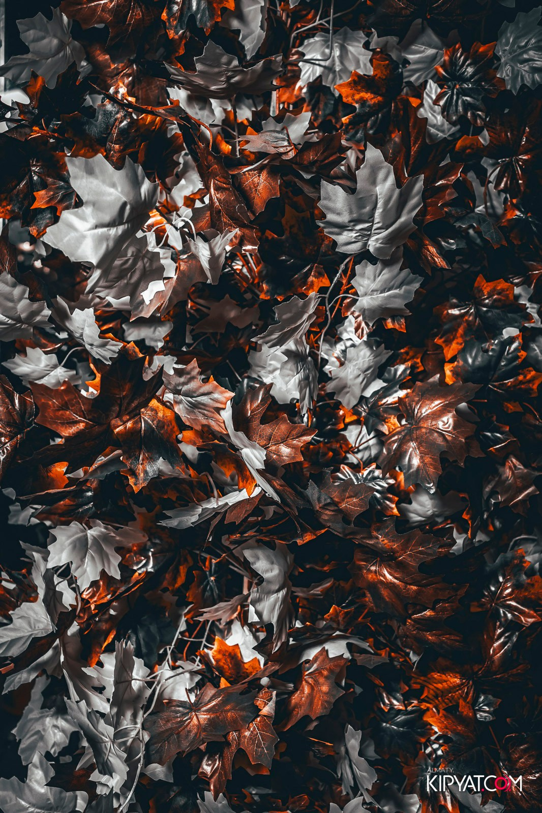 HALLOWEEN LOVA KITCHEN. КИПЯТКОМ АЛМАТЫ!