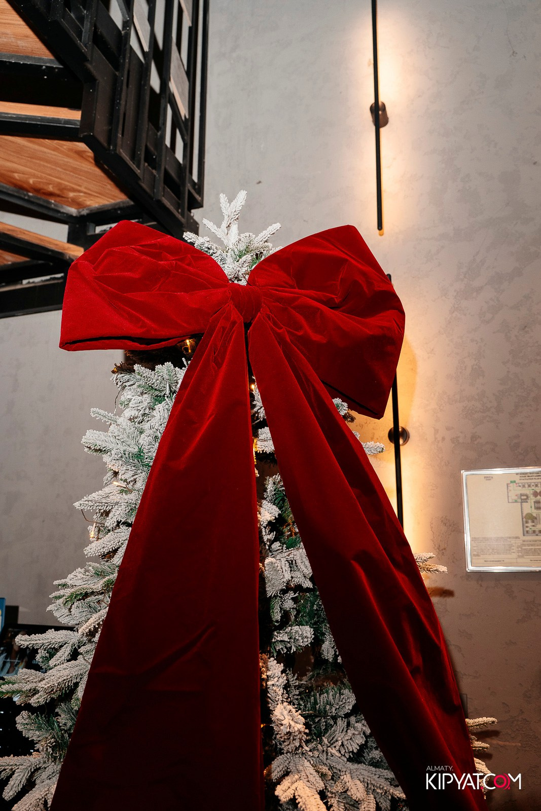 ПИНТА PREMIUM. КИПЯТКОМ АЛМАТЫ! Фотосъемка мероприятий в Алматы