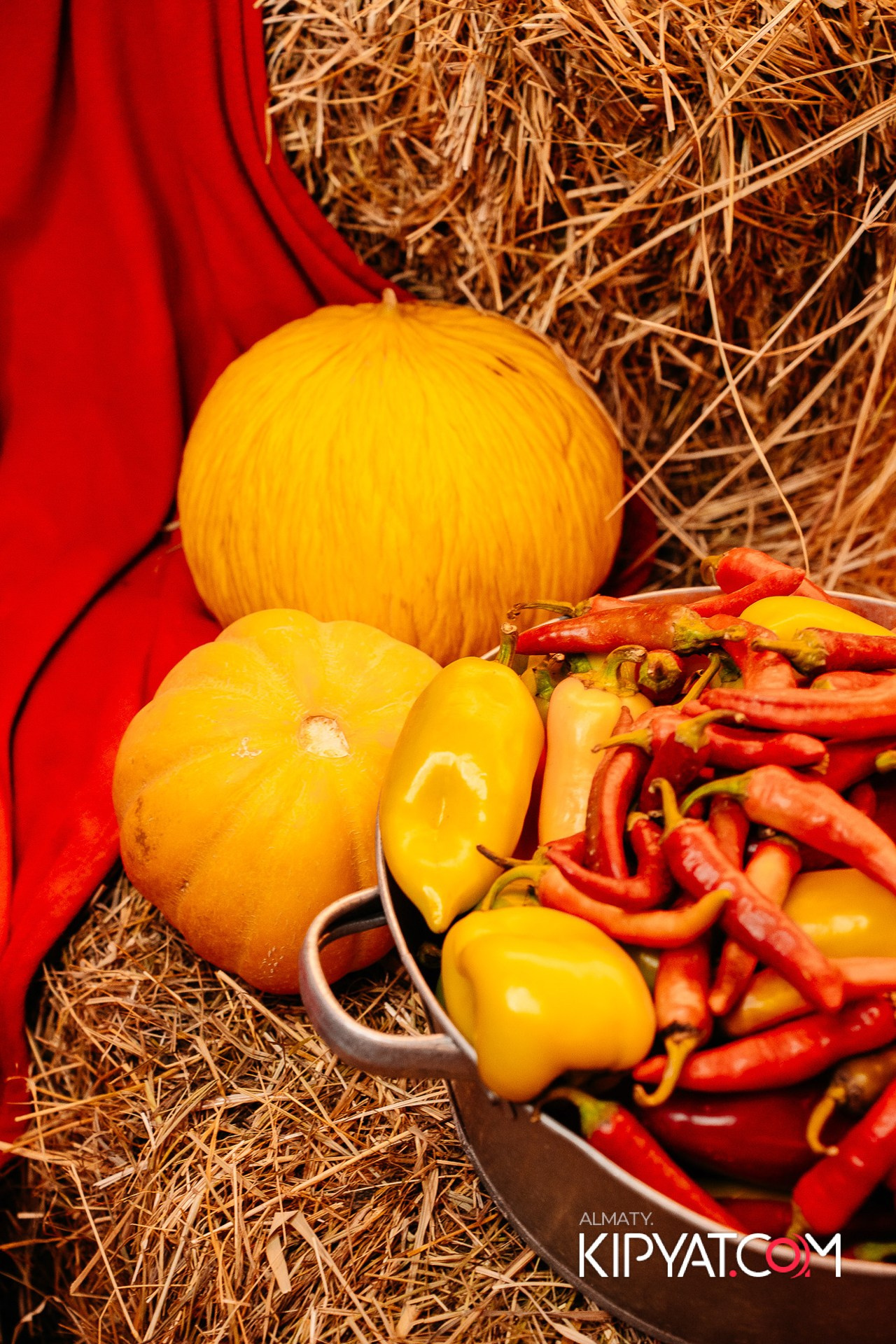 Пинта Premium. КИПЯТКОМ АЛМАТЫ!