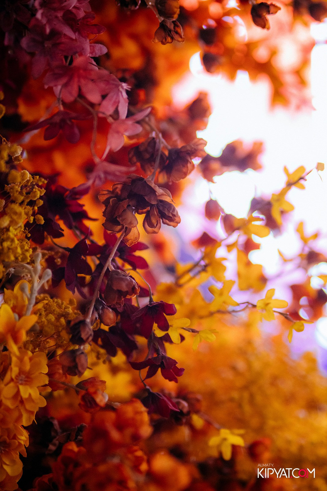 FRIENDS BAR & TERRACE. КИПЯТКОМ АЛМАТЫ!