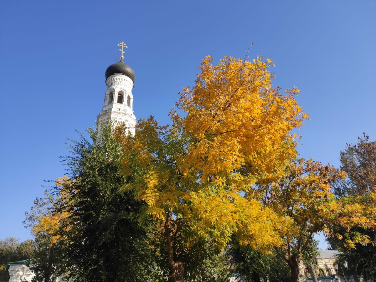 Астрахань | 17-18.10.2020. Галерея Фантим