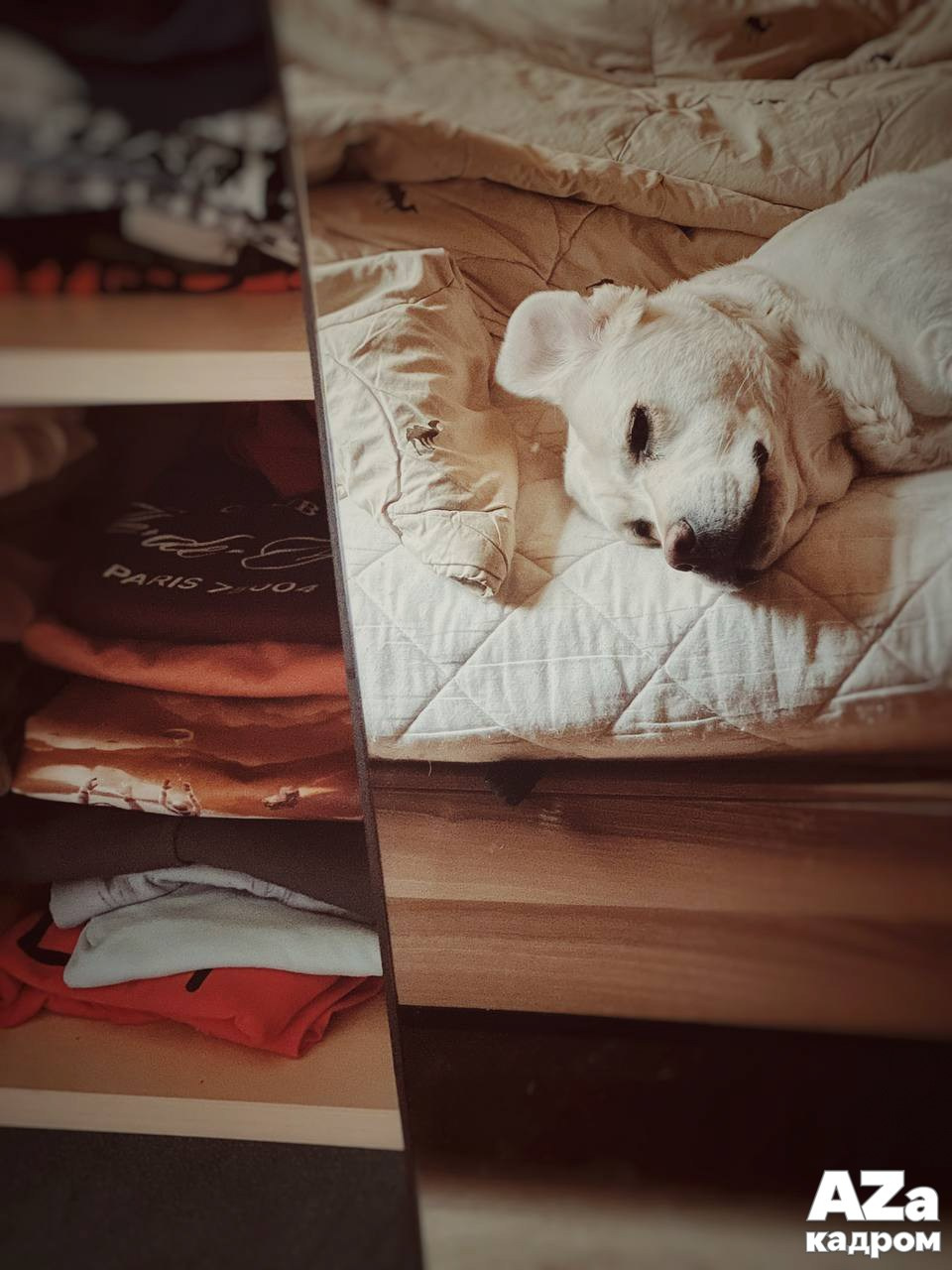 AZакадром «Отражения». Женский семейный фотограф Тула Москва Захарова Анна