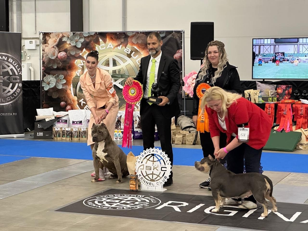 Участие в выставках. Американские булли XL в г. Калининград. Питомник Great Bully UNIVERSE
