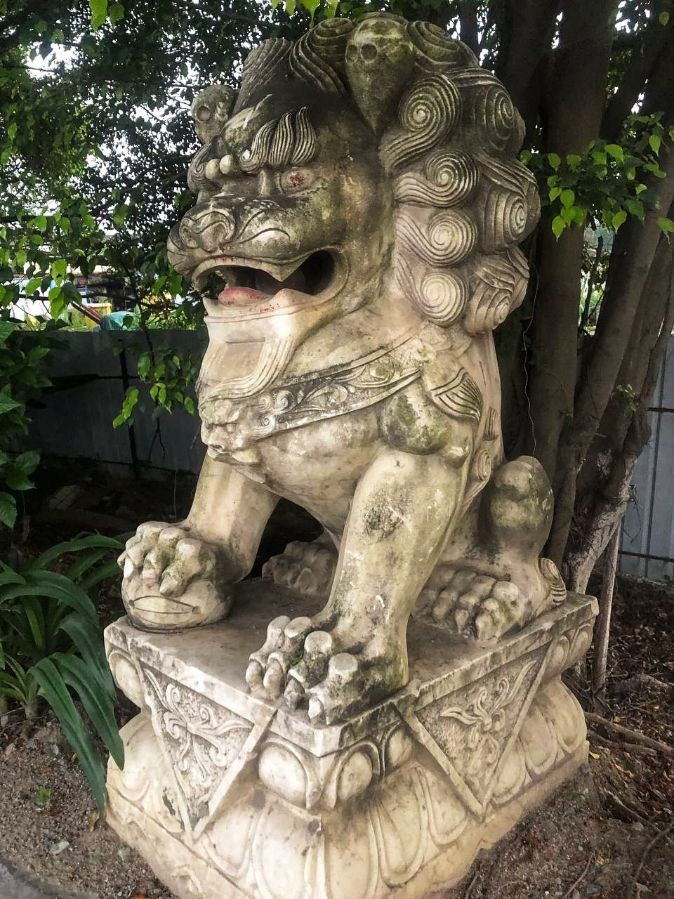 Гуанчжоу. Фотограф в Перми Любовь Огородова | Авторские туры