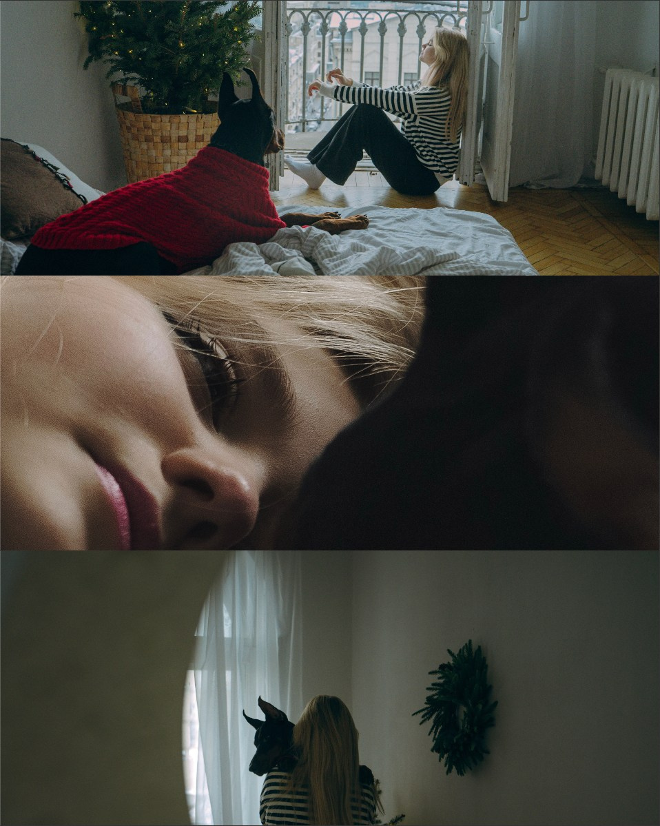 Саша и Асти. Фотограф анималист в Москве и Санкт-Петербурге Свиридова Анна