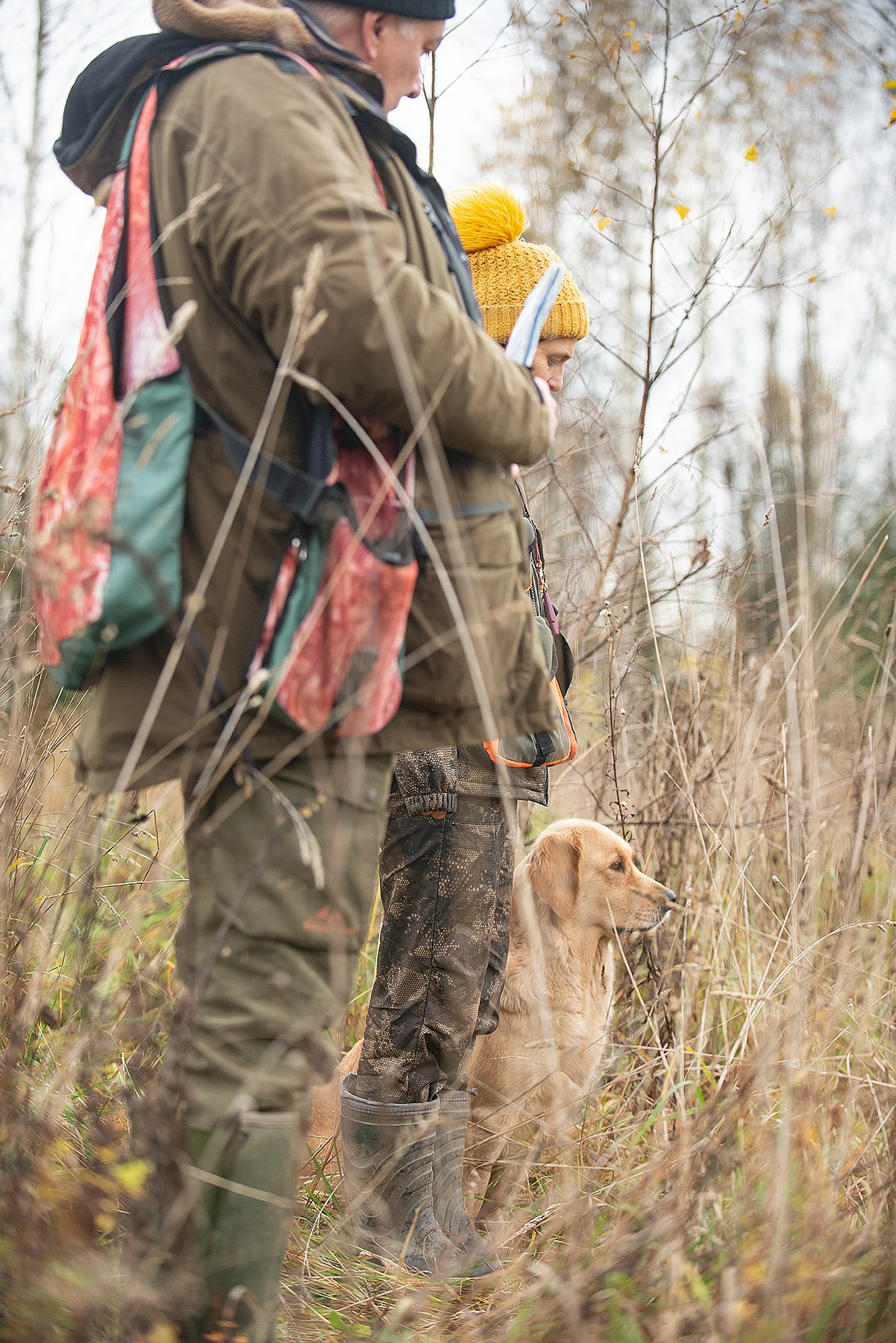 Несертификатный ВТ Школы Шмеля, 21 октября 2023. Фотограф-анималист Наталья Светличная