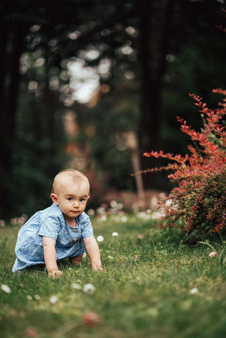 Коля, Ксюша, Саша, Андрей, Кира и бабушки | на даче