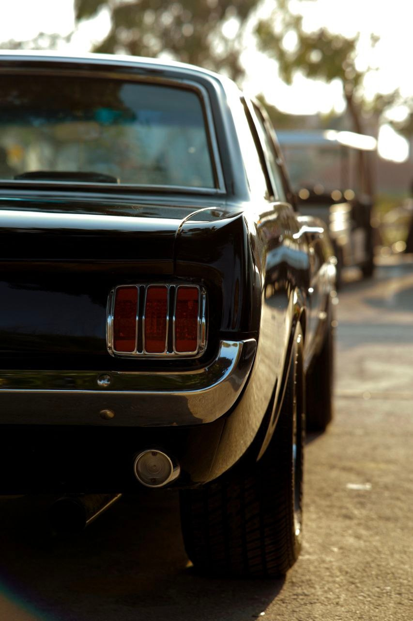 Эль-Джубайль. СА. 2025. Фотограф Михаил Олейник