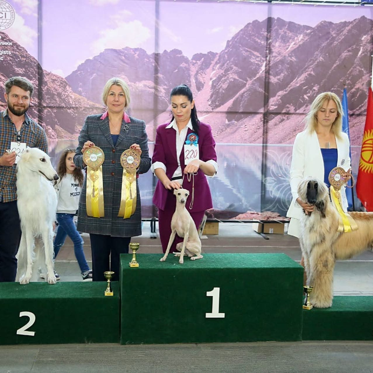 Выпускники ЧЕМПИОНЫ. Профессиональный питомник левреток РКФ/FCI ASTI SAPPHIRE 💎 Сочи|Санкт-Петербург