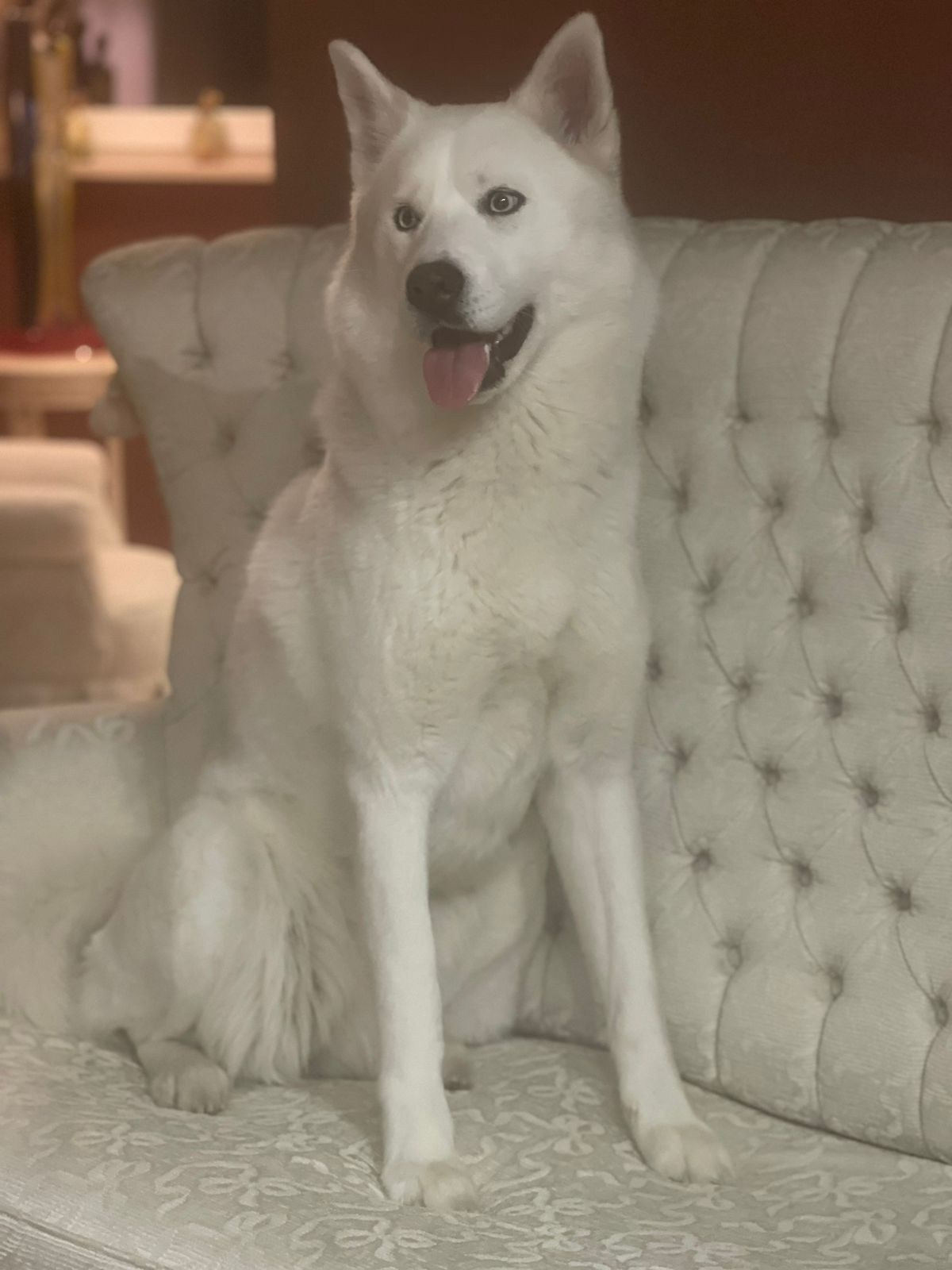 Новогодний фотодень. Фотоальбомы на заказ