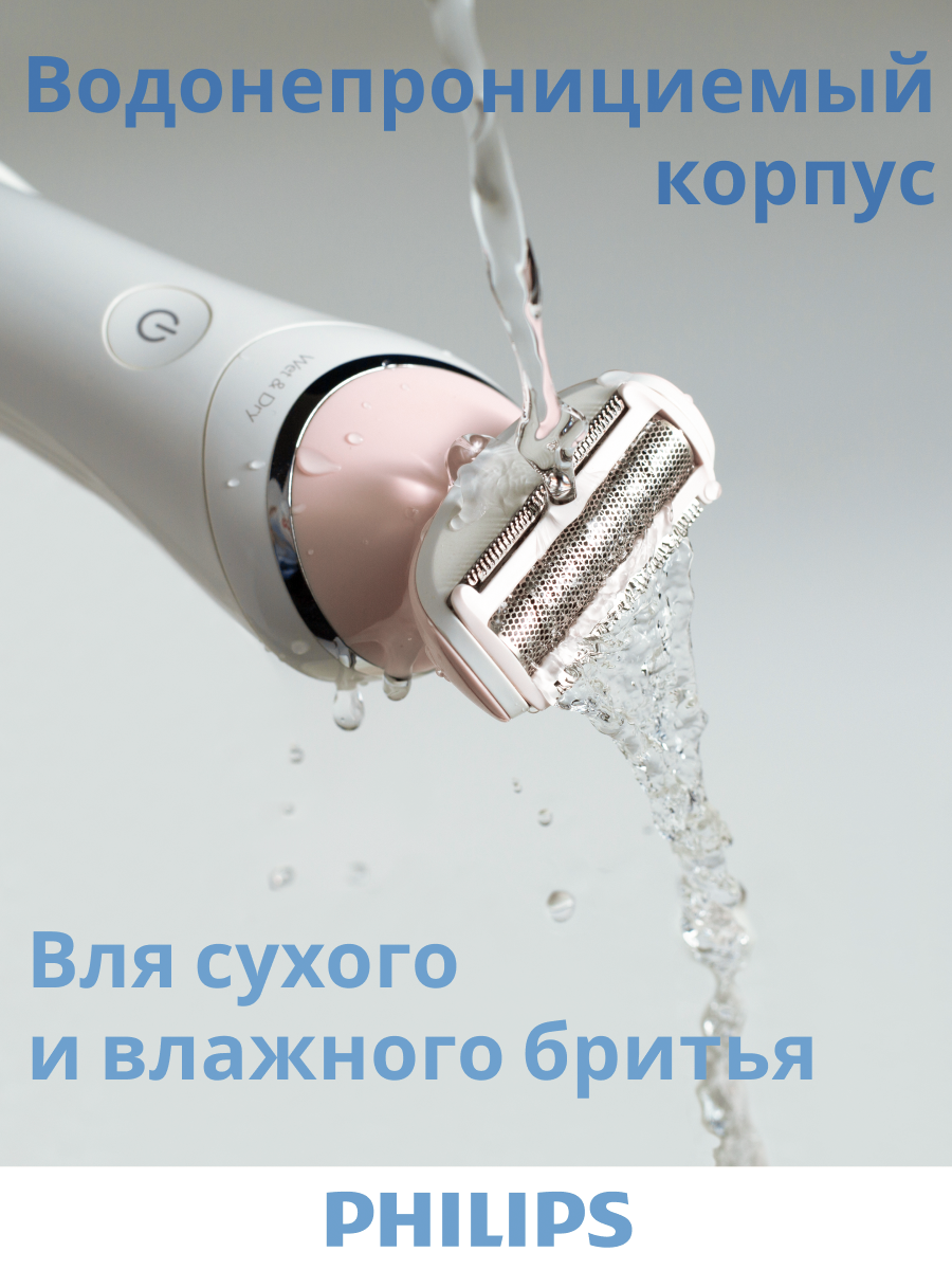 Портфолио