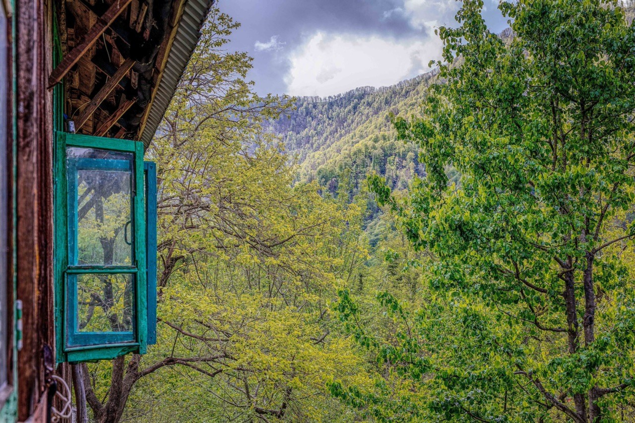 Окна с видом на Алек, Открытая, Алексей Касаткин, Москва