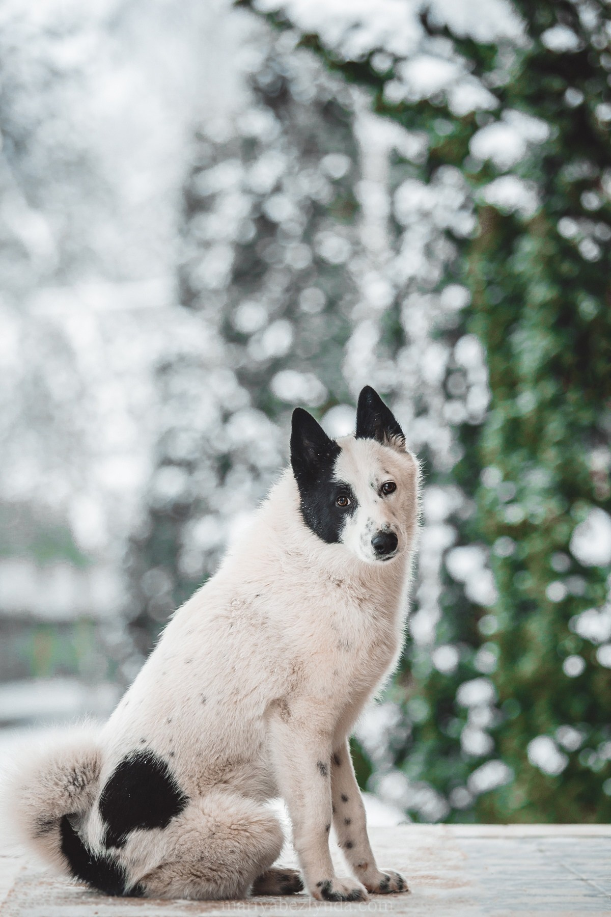 На природе. Семейный и детский фотограф в Москве Мария Быкова