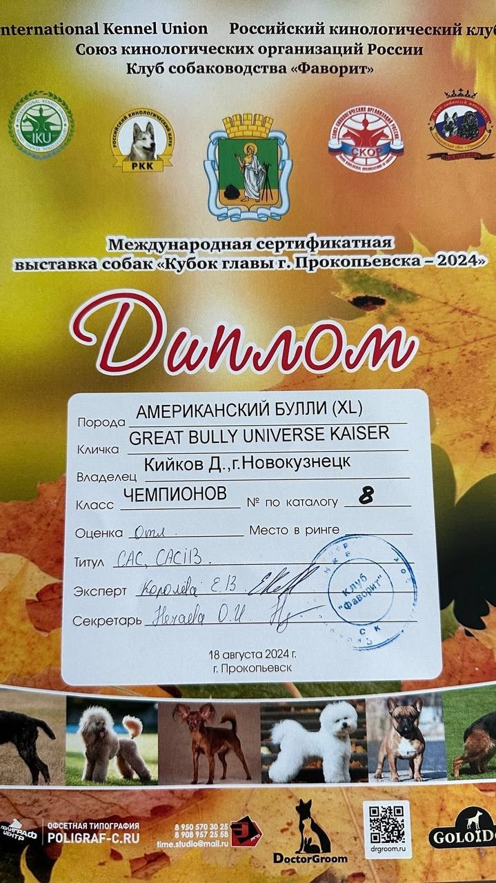Участие в выставках. Американские булли XL в г. Калининград. Питомник Great Bully UNIVERSE