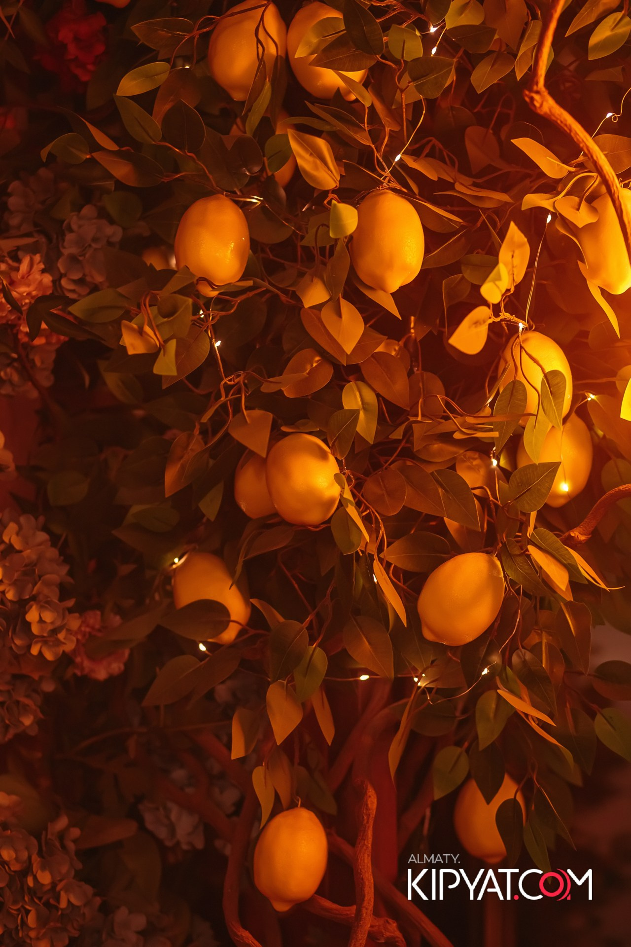 MODI RESTORANCHIK. КИПЯТКОМ АЛМАТЫ!