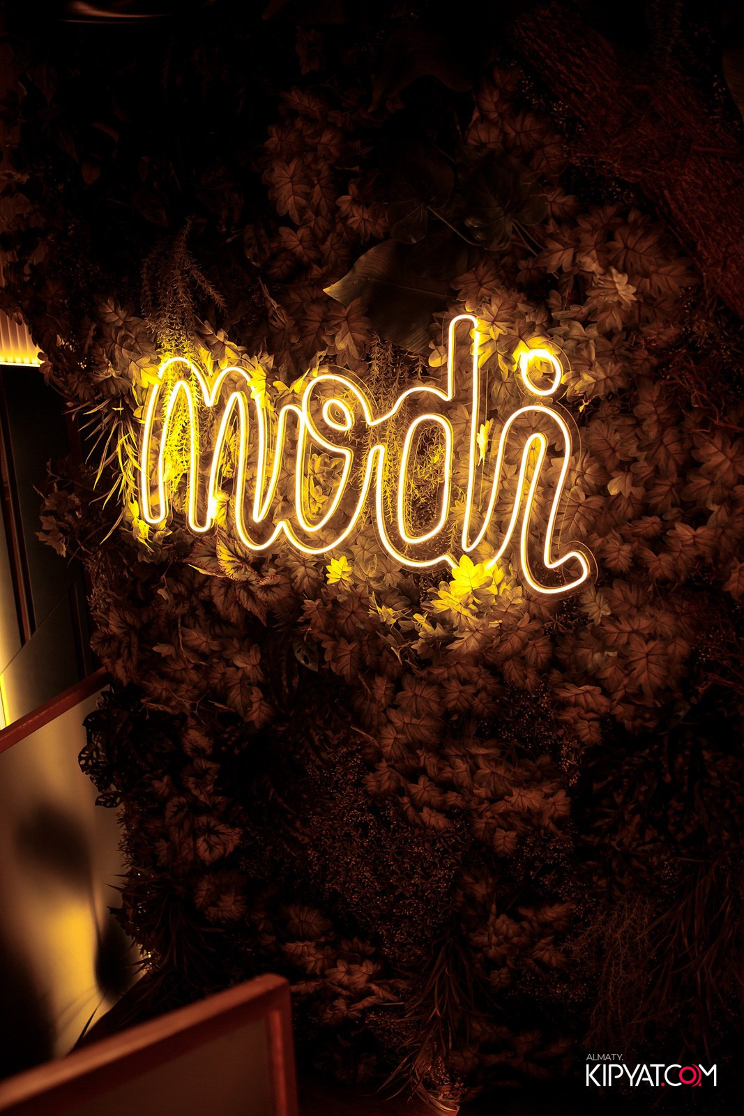 MODI RESTORANCHIK. КИПЯТКОМ АЛМАТЫ!