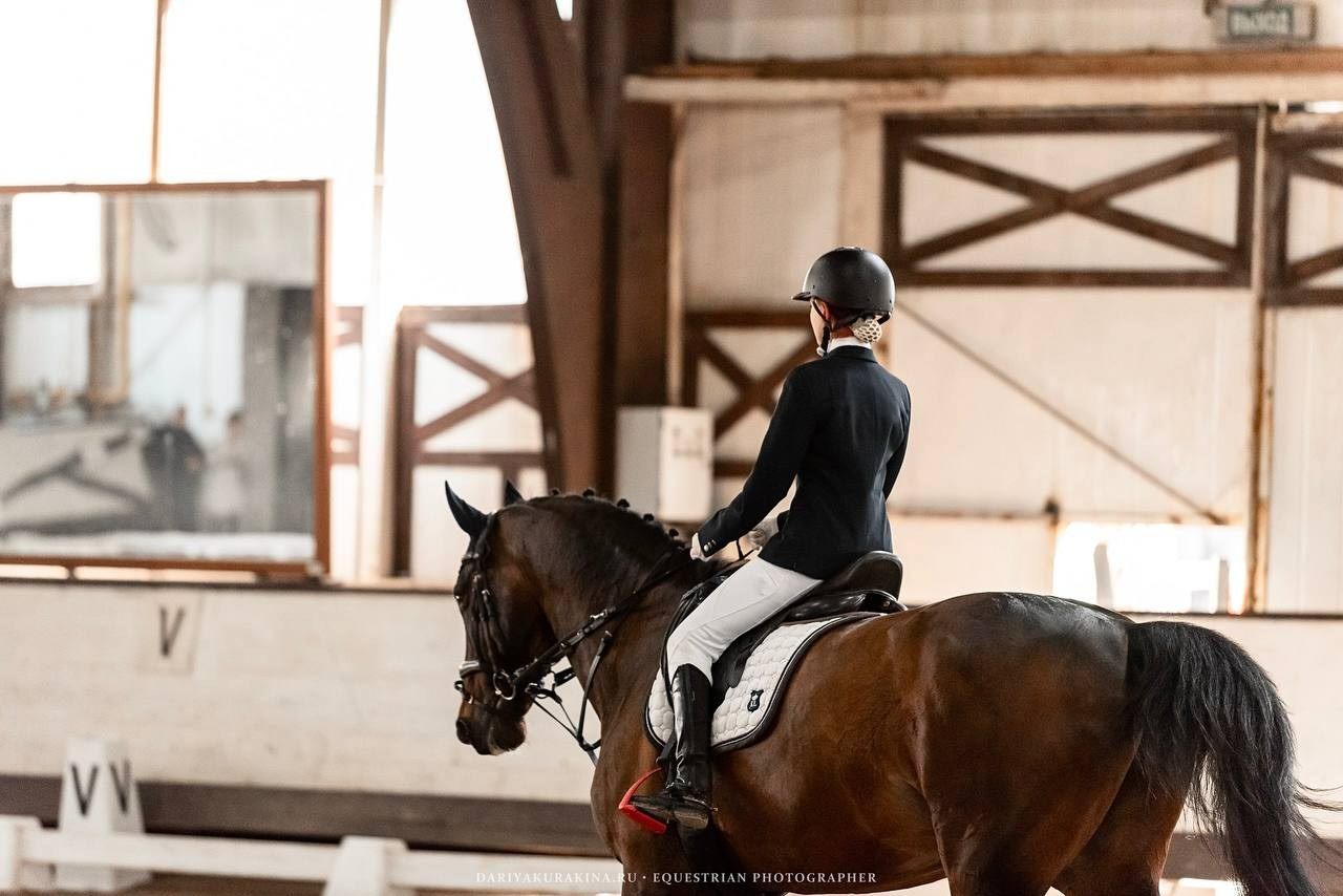 Муниципальные соревнования по выездке «Весенний Кубок КСК «Белая дача». Конный фотограф Куракина Дарья • Фотосессии с лошадьми