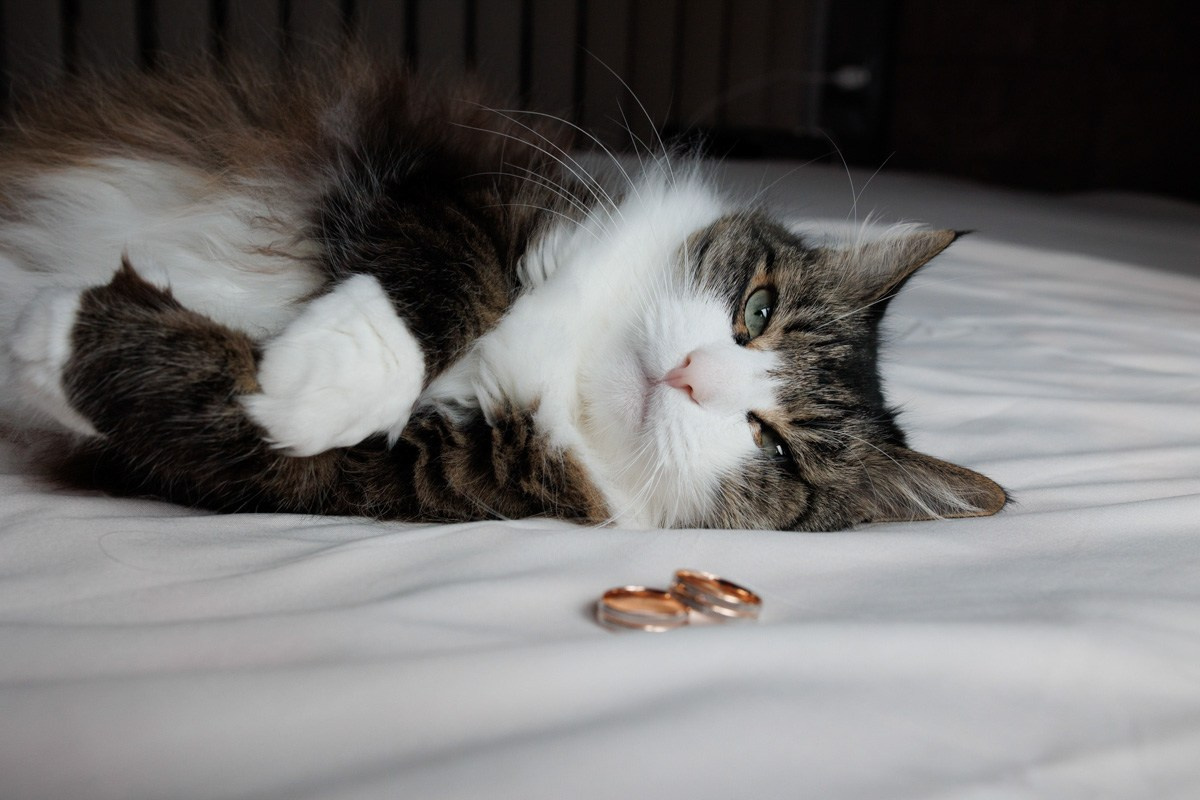 Избранные фотографии. Свадебный фотограф СПБ