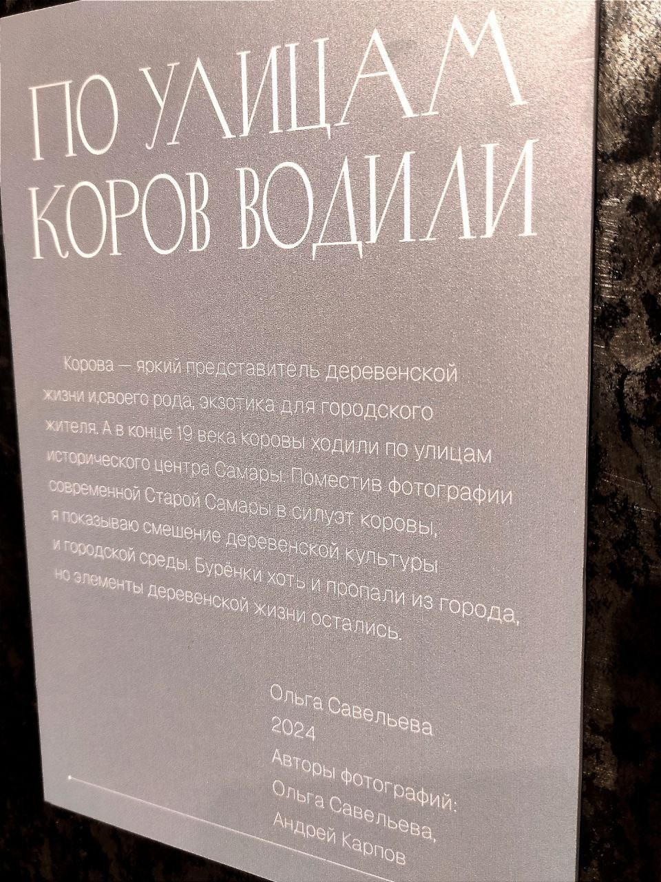 Савельева Ольга. Фотообъединение Самарского областного отделения Союза журналистов России