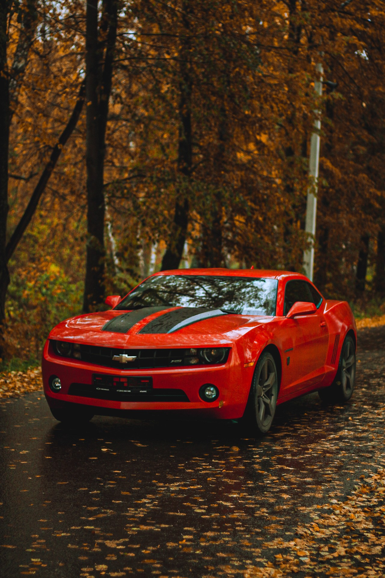 Cars. Фотограф Ксюша Костюченко