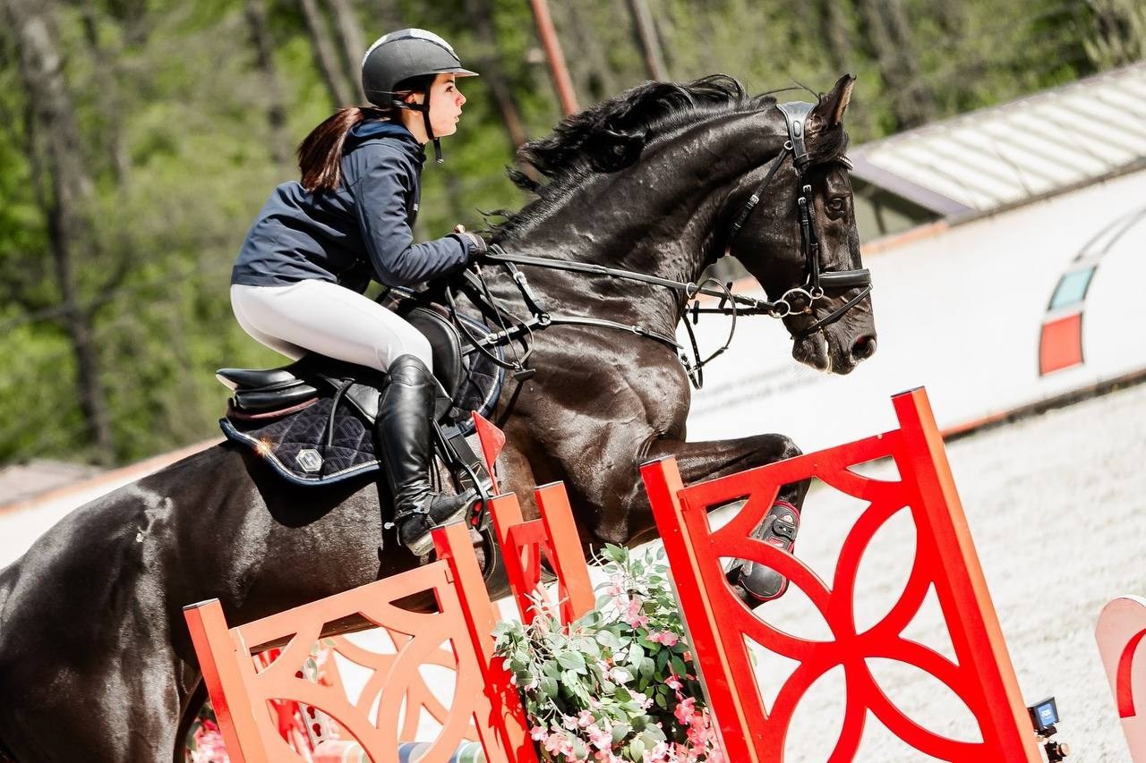 МУНИЦИПАЛЬНЫЕ СОР-Я ПО КОНКУРУ, ПОСВЯЩЕННЫЕ ДНЮ ПОБЕДЫ — ВИВАТ!. Куракина Дарья • Конный фотограф
