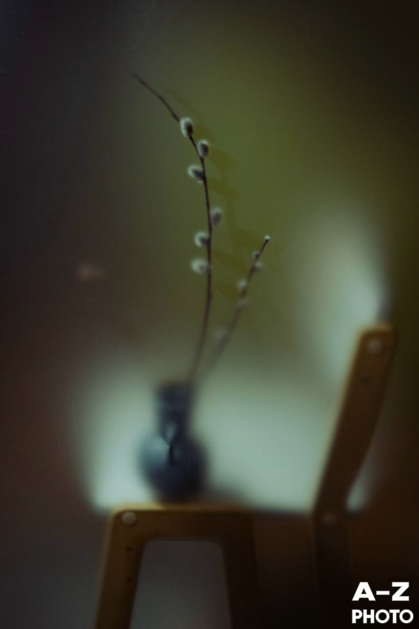 #ФОТОНЕДЕЛИ 13.04.2026. Женский семейный фотограф Тула Москва Захарова Анна