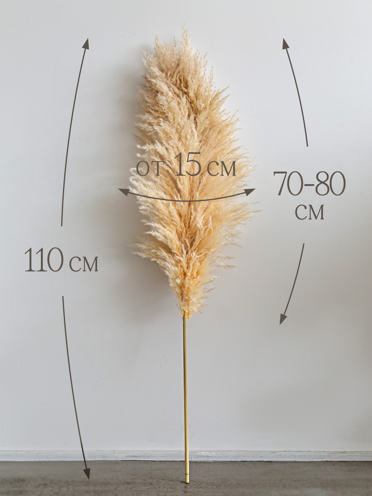 Сухоцветы. Разработка фирменного стиля, брендбука, логотипа (логобука), инфографика для маркетплейсов, Новосибирск