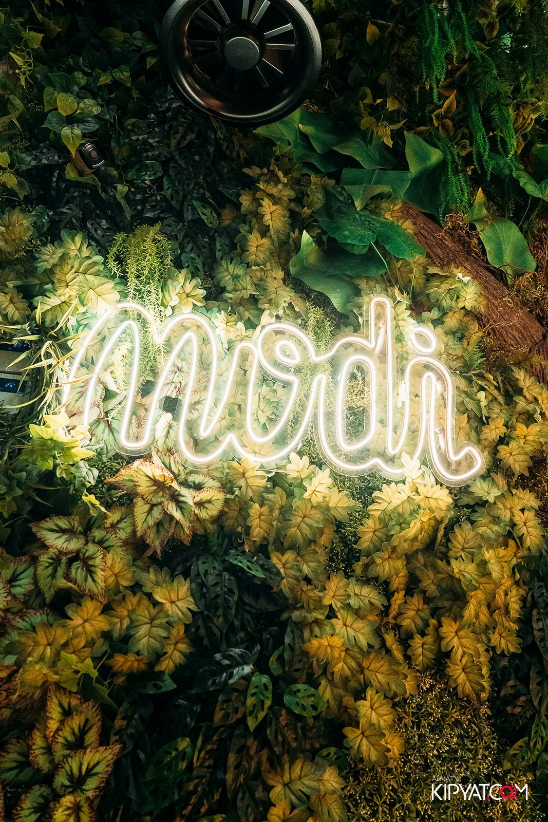 MODI RESTORANCHIK. КИПЯТКОМ АЛМАТЫ!