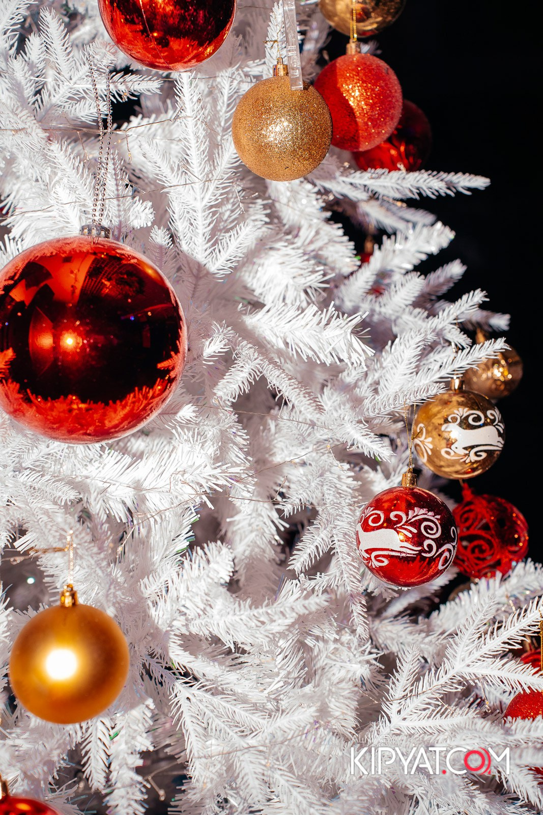 УХО И МЕДВЕДЬ НА КУРМАНГАЗЫ. КИПЯТКОМ АЛМАТЫ!