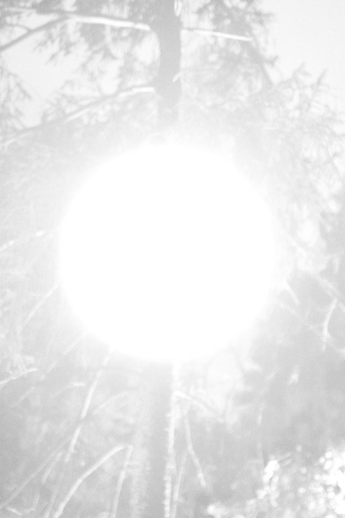 Проект Розы Лакавалла (Rosa Lacavalla) «Sana Sana». Private image