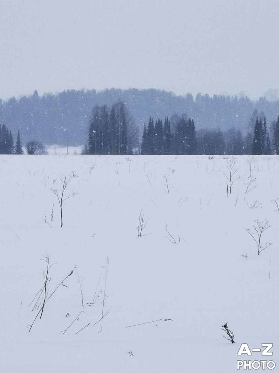 #ФОТОНЕДЕЛИ 09.02.2026. Женский семейный фотограф Тула Москва Захарова Анна