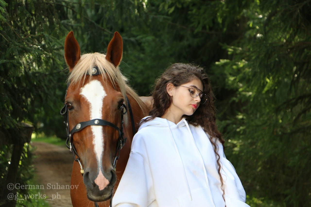 Horses. AVE CONCEPT by German S