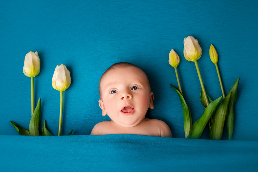 Новорожденные малыши. Фотограф новорожденных Череповец Вологда Татьяна Куликова