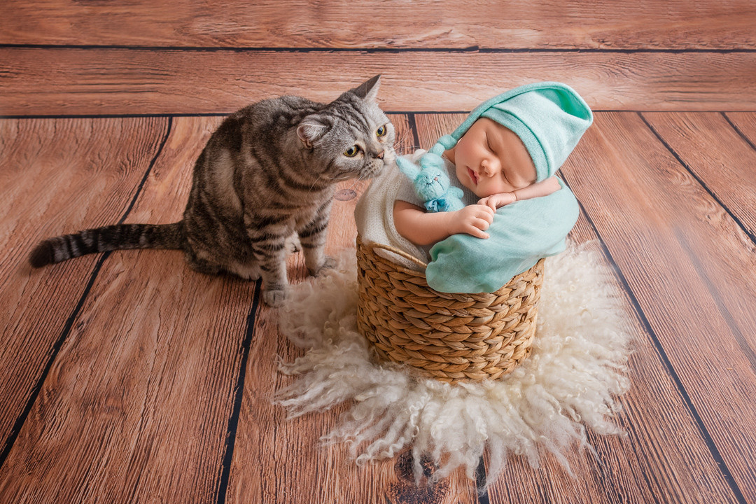 Новорожденные малыши. Фотограф новорожденных Череповец Вологда Татьяна Куликова