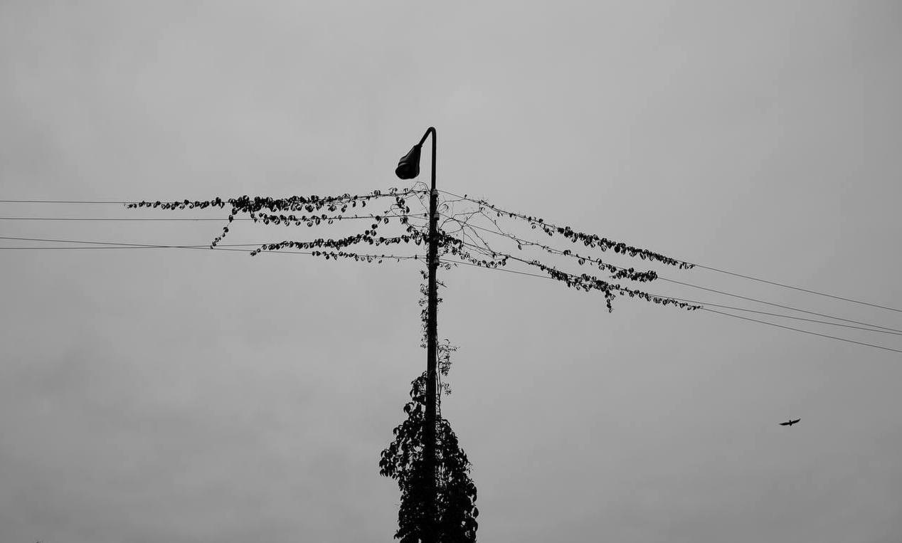 Заливино. Фотограф Дара Фарфор